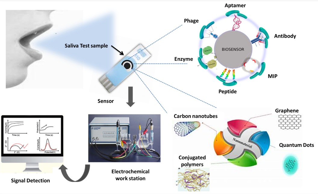 Electrochemical Biosensors for Real-Time Oxidative Stress Monitoring in Saliva