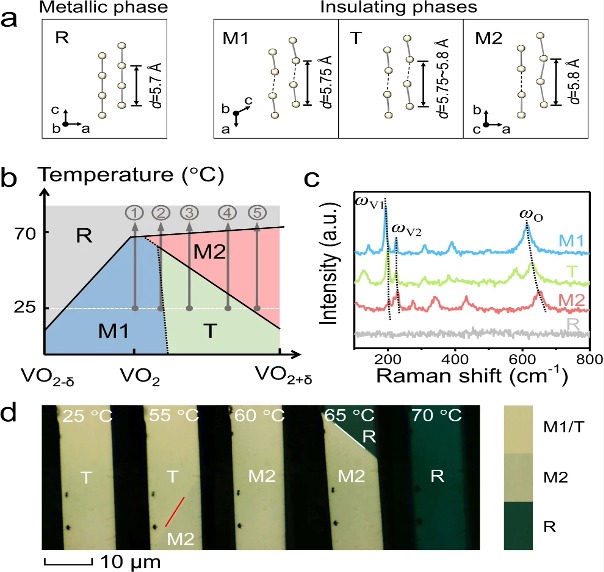 Critical Review on the Phase Change Properties of VO₂: Influence of Synthesis Methods and Transition Mechanisms